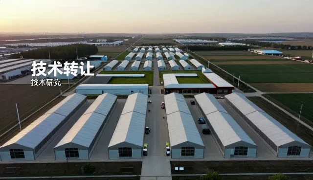 深圳市儒骏投资发展有限公司助力技术转让提升竞争力